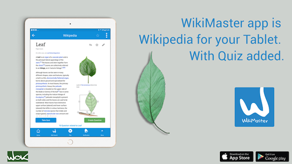 WM Ad40 En learn about small 170820