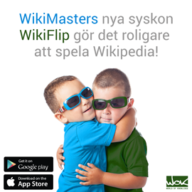 WOK bygger nu Kunskapens Facebook.